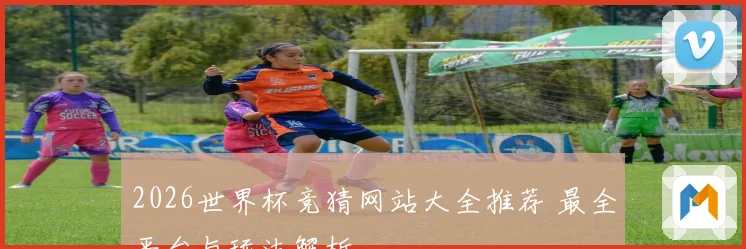 2026世界杯竞猜网站大全推荐 最全平台与玩法解析